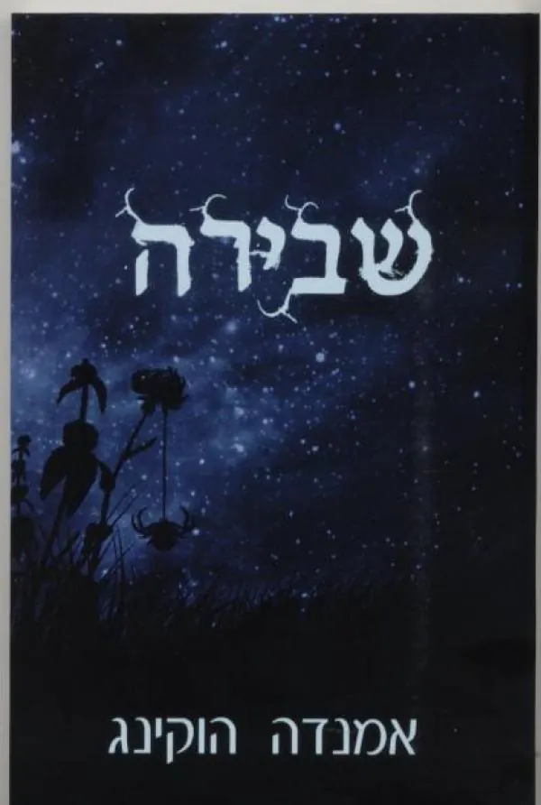 שבירה — אמנדה הוקינג