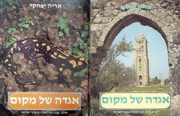 מבוטל
