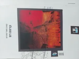 קדחת דם — קארן מארי מונינג