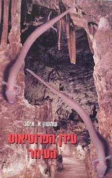 עידן הפרוטיאוס העיוור — שמשון א איסר